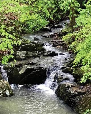 Secluded Home with Mini Waterfall and a Creek in Hot Springs