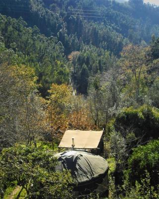 Green Man yurt