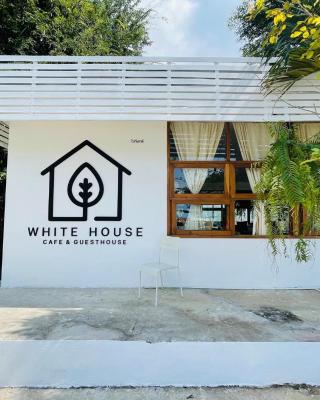 Whitehouse cafe&Guesthouse