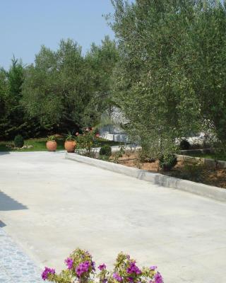 COUNTRY HOUSE IN OLIVE GROVE - Gerakini