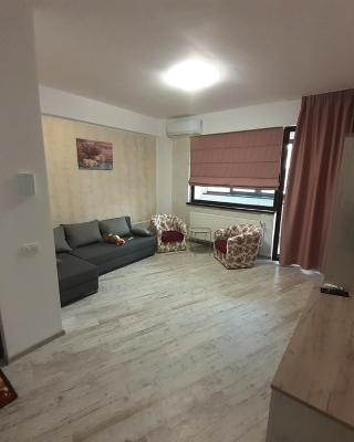 Apartament Matei