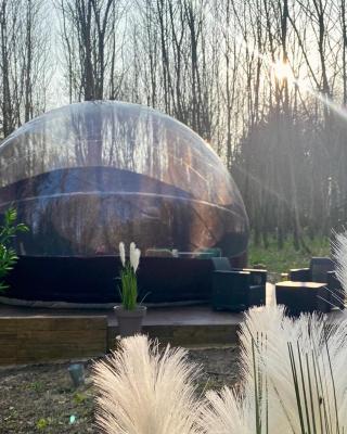 Logement insolite "Bubble jungle"