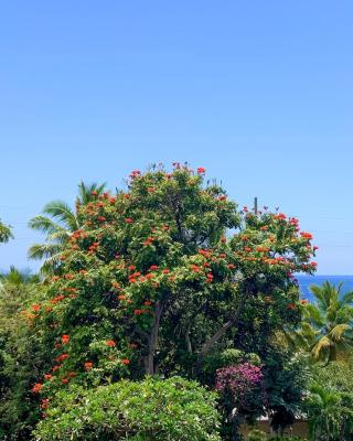 A Little Aloha