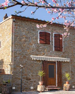 Antica Tinaia