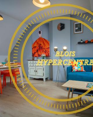 SUPERLOGIS - Sous Les Toits - T2 - BLOIS-HYPERCENTRE 1 chambre 4 personnes