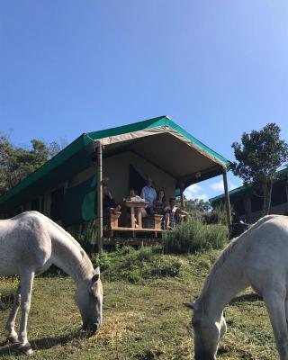 Trees&Seas - Glamping with farm animals