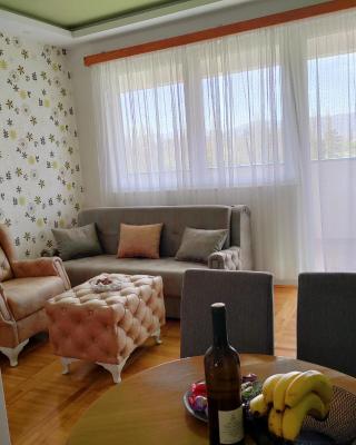 Apartman Zelenika