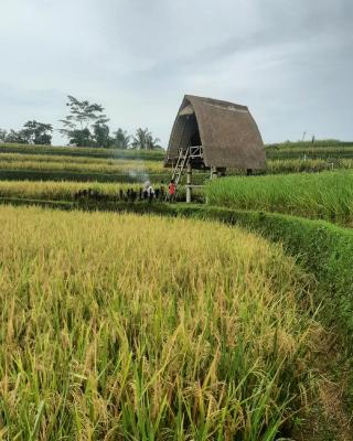 Batan Nyuh Retreat