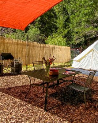 Glamping in the Redwoods