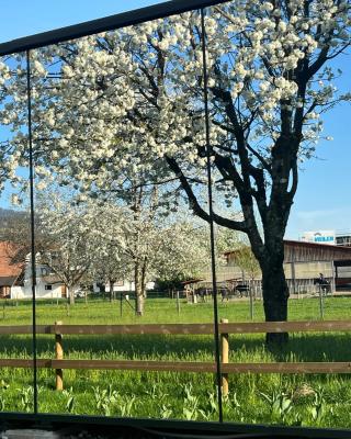 Natur Pur & Erlebnisurlaub im Spiegelhaus ÖÖD