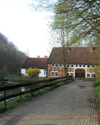 Höllenmühle Bed & Breakfast at the Mill Pond