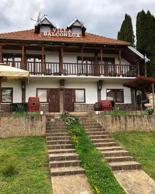 Villa Balconlux - Zavojsko jezero, Pirot