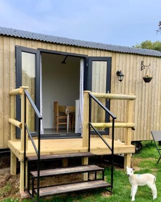 Shepherds hut with a hot tub