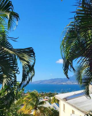 Appartement vue mer. Anse à l'âne. Trois ilets