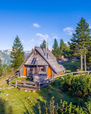 Chalet Encijan - Velika planina