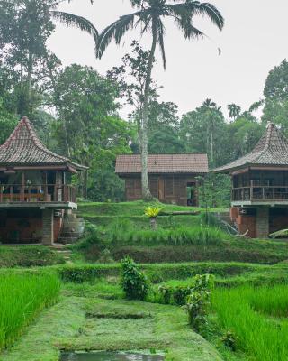 Tepi Sawah Lodge & Retreat