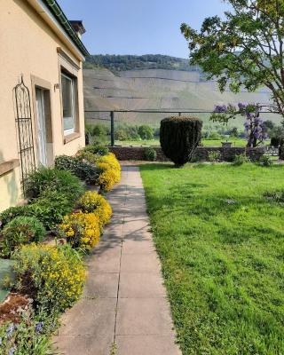 Ferienwohnung Gartenblick