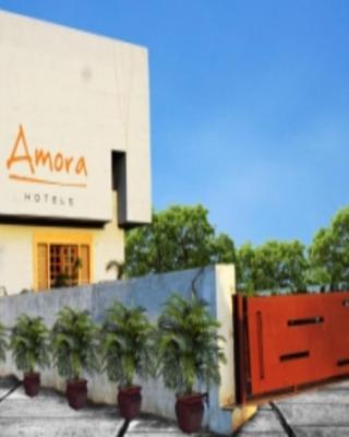 HOTEL AMORA - Rajnandgaon