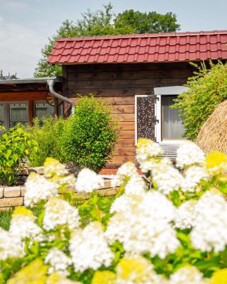 Spreewald Pension Tannenwinkel