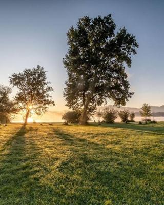 CHALETS MERCURE am Wallersee zum Vermieten