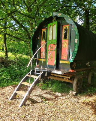 Genuine Gypsy Hut and Glamping Experience - In the Heart of Cornwall