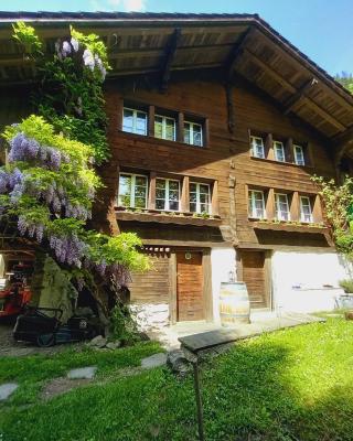 Chalet Elza