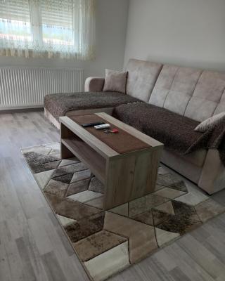 Apartman Vasilije Banja Koviljaca