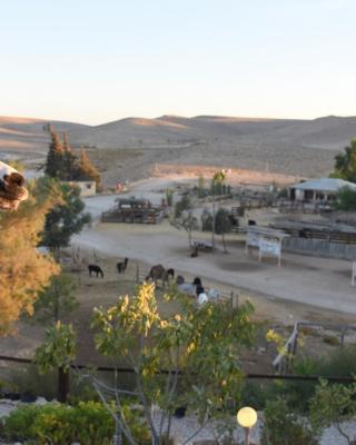 Alpaca Farm - חוות האלפקות