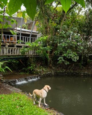 Rancho Margot Sustainable & Self Sufficient Eco Lodge