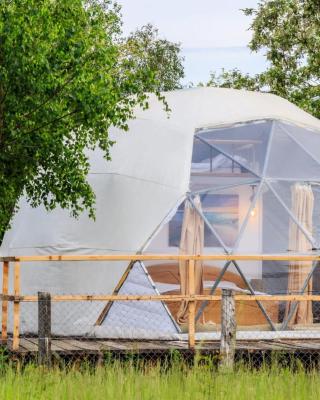 Brancoveanu Glamping