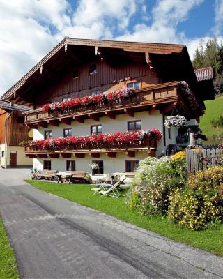 Cozy apartment near the ski area