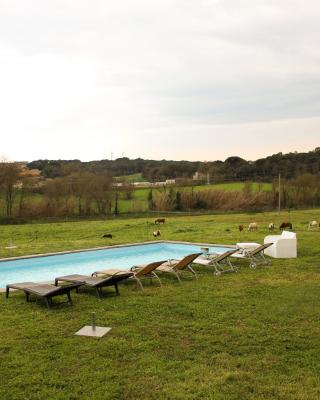 Mas Goy, casa rural con piscina