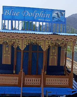 Houseboat Blue Dolphin