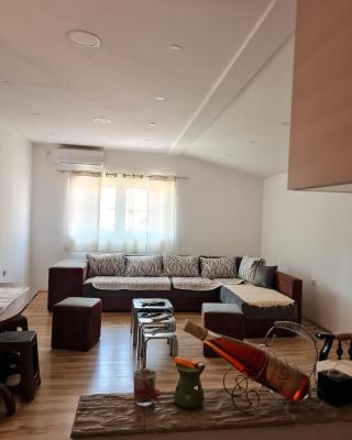 Apartman Zigic