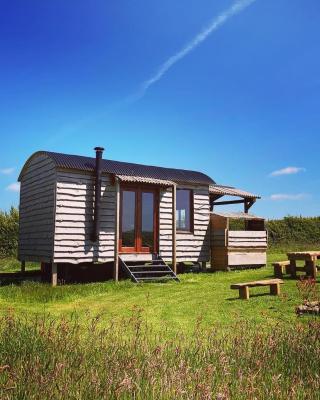 Shepherds Hut in a private meadow with sea views