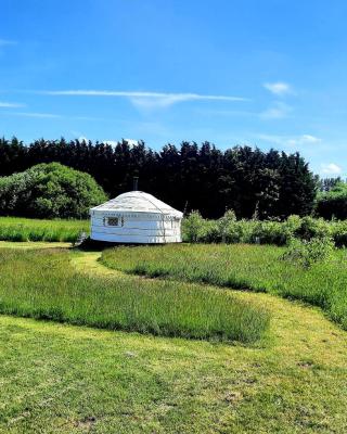 Cranfield Retreat & Glamping - Yurt & Shepherds Hut
