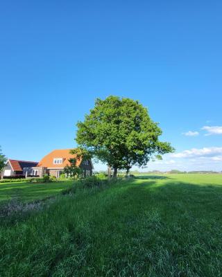 Bed & Breakfast de Vink