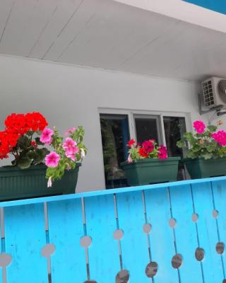 Casa Dobrogea
