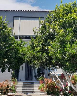 Guesthouse Anila