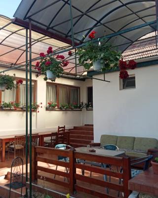 Elza Guesthouse