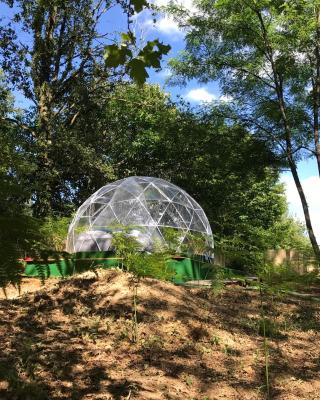 Bulle étoilée en Nature Landaise