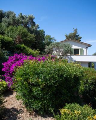 Apartments La Valle Incantata - Goelba