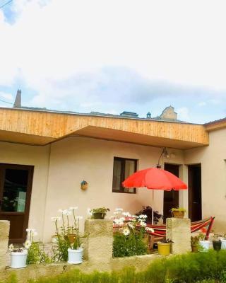 Guesthouse and Cottage Nicolo