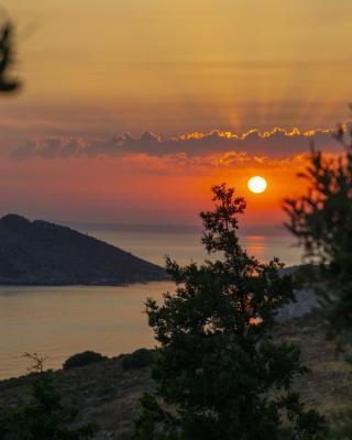 Goknar Knidos Oasis Nature Hotel