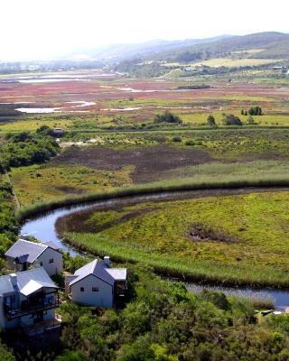 艾米丽月亮河山林小屋