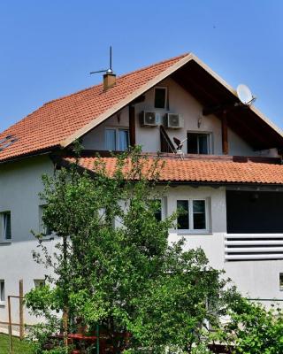 House Bićanić