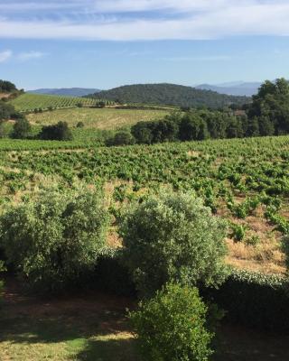 Appartement T3 - résidence de standing vue vignes