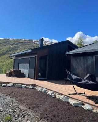 Cabin at the top of Hodlekve. Ski in/ski out.