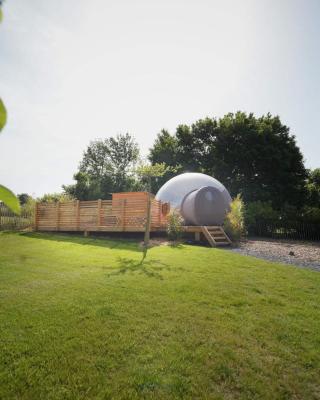 Bulles Odette & Ginette et Tiny House Suzette "Au guet Marais" Etape Insolite