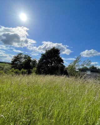 Wellbank Shepherds Hut